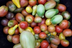 20180814_192358-scaled