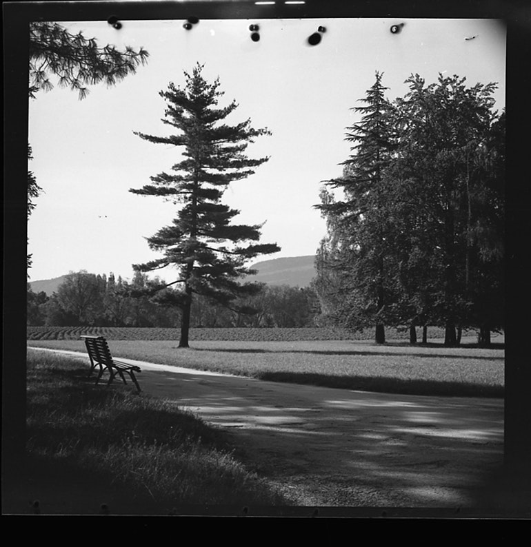 Parc Bertrand